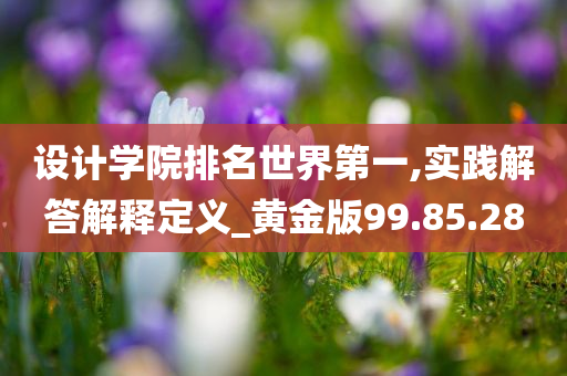 设计学院排名世界第一,实践解答解释定义_黄金版99.85.28