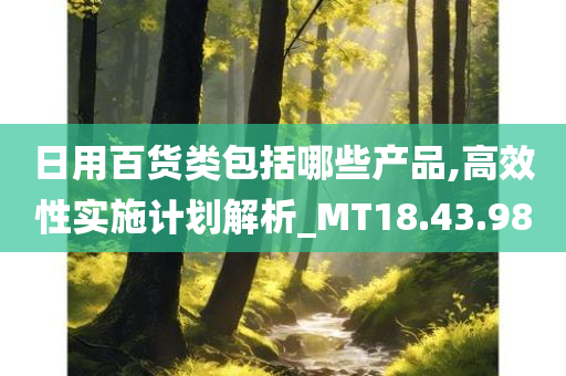 日用百货类包括哪些产品,高效性实施计划解析_MT18.43.98