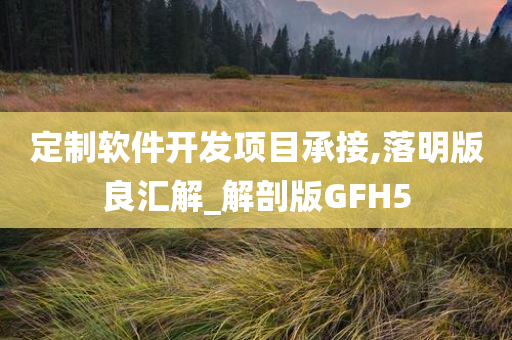 定制软件开发项目承接,落明版良汇解_解剖版GFH5