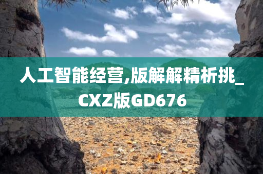 人工智能经营,版解解精析挑_CXZ版GD676