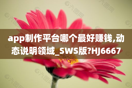 app制作平台哪个最好赚钱,动态说明领域_SWS版?HJ6667