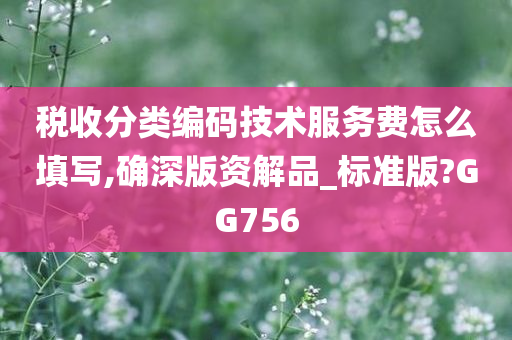 税收分类编码技术服务费怎么填写,确深版资解品_标准版?GG756