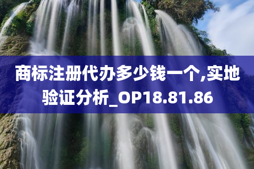 商标注册代办多少钱一个,实地验证分析_OP18.81.86