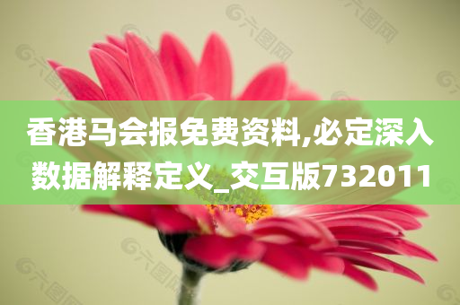 香港马会报免费资料,必定深入数据解释定义_交互版732011