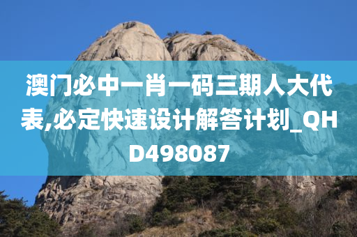 澳门必中一肖一码三期人大代表,必定快速设计解答计划_QHD498087