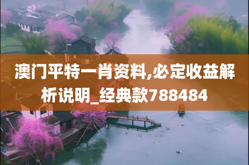 澳门平特一肖资料,必定收益解析说明_经典款788484