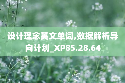 设计理念英文单词,数据解析导向计划_XP85.28.64