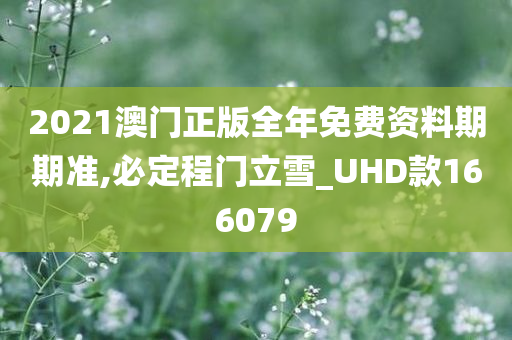 2021澳门正版全年免费资料期期准,必定程门立雪_UHD款166079