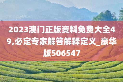 2023澳门正版资料免费大全49,必定专家解答解释定义_豪华版506547