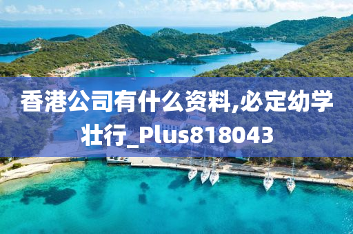 香港公司有什么资料,必定幼学壮行_Plus818043