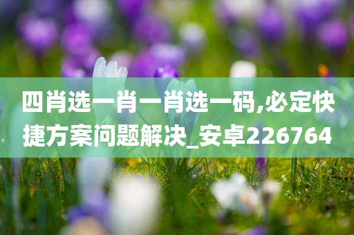 四肖选一肖一肖选一码,必定快捷方案问题解决_安卓226764