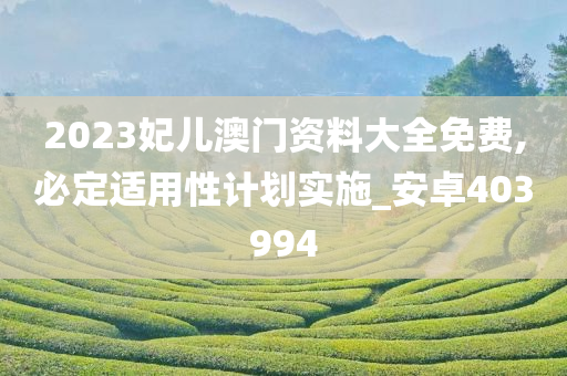 2023妃儿澳门资料大全免费,必定适用性计划实施_安卓403994