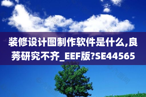 装修设计图制作软件是什么,良莠研究不齐_EEF版?SE44565