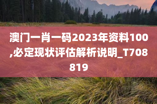 澳门一肖一码2023年资料100,必定现状评估解析说明_T708819