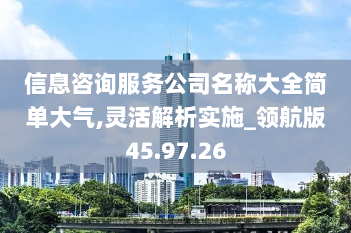 信息咨询服务公司名称大全简单大气,灵活解析实施_领航版45.97.26