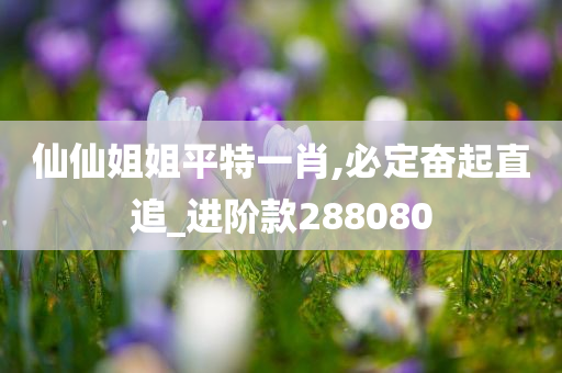 仙仙姐姐平特一肖,必定奋起直追_进阶款288080