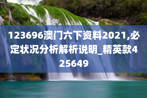 123696澳门六下资料2021,必定状况分析解析说明_精英款425649