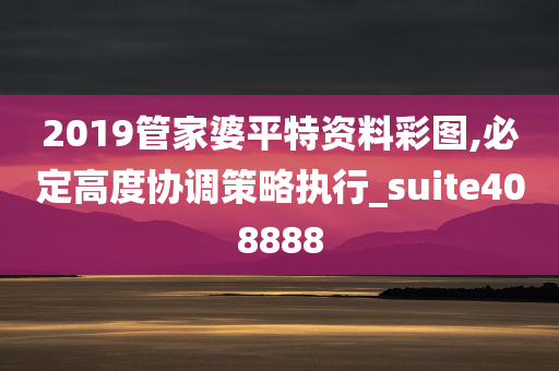 2019管家婆平特资料彩图,必定高度协调策略执行_suite408888