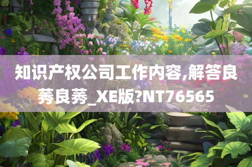 知识产权公司工作内容,解答良莠良莠_XE版?NT76565