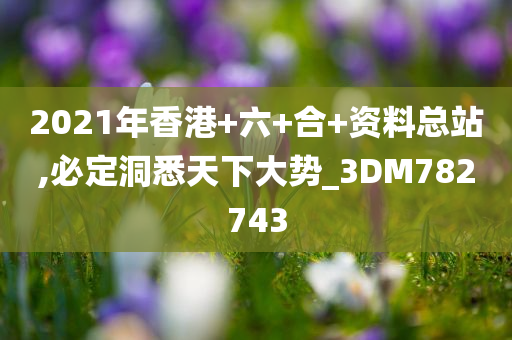 2021年香港+六+合+资料总站,必定洞悉天下大势_3DM782743