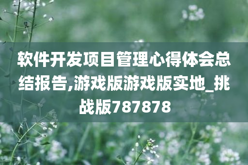 软件开发项目管理心得体会总结报告,游戏版游戏版实地_挑战版787878