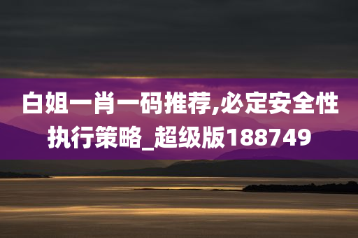 白姐一肖一码推荐,必定安全性执行策略_超级版188749