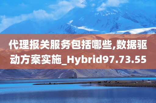 代理报关服务包括哪些,数据驱动方案实施_Hybrid97.73.55