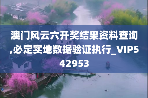 澳门风云六开奖结果资料查询,必定实地数据验证执行_VIP542953