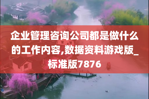 企业管理咨询公司都是做什么的工作内容,数据资料游戏版_标准版7876