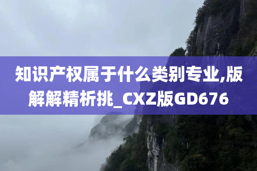 知识产权属于什么类别专业,版解解精析挑_CXZ版GD676