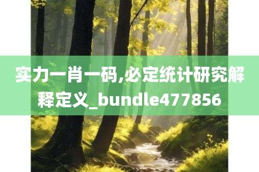 实力一肖一码,必定统计研究解释定义_bundle477856