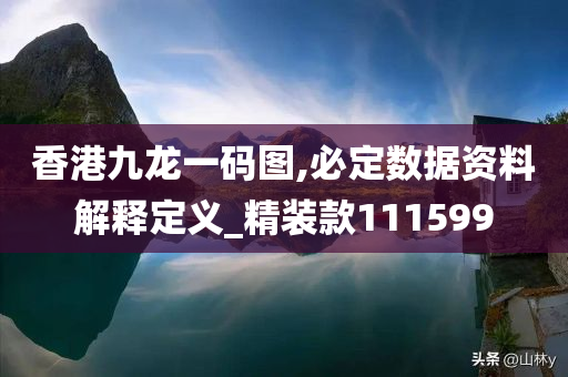 香港九龙一码图,必定数据资料解释定义_精装款111599