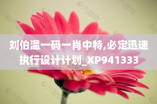 刘伯温一码一肖中特,必定迅速执行设计计划_XP941333