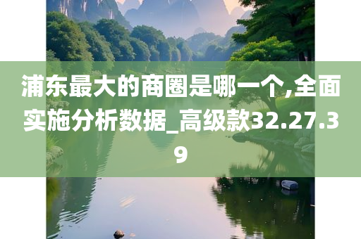 浦东最大的商圈是哪一个,全面实施分析数据_高级款32.27.39