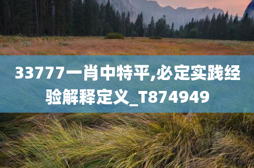 33777一肖中特平,必定实践经验解释定义_T874949