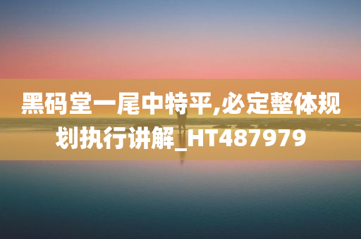 黑码堂一尾中特平,必定整体规划执行讲解_HT487979