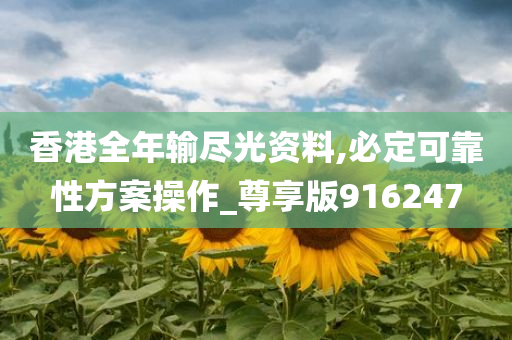 香港全年输尽光资料,必定可靠性方案操作_尊享版916247