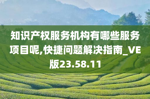 知识产权服务机构有哪些服务项目呢,快捷问题解决指南_VE版23.58.11