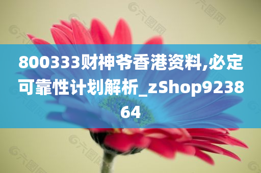 800333财神爷香港资料,必定可靠性计划解析_zShop923864