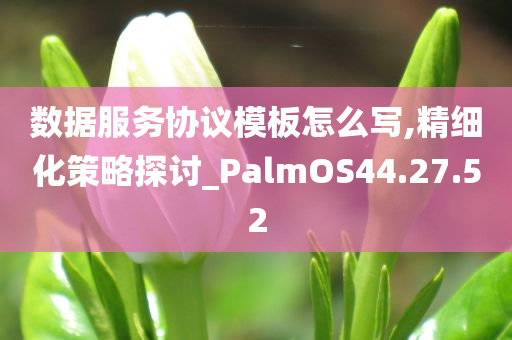 数据服务协议模板怎么写,精细化策略探讨_PalmOS44.27.52