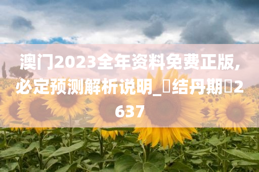 澳门2023全年资料免费正版,必定预测解析说明_‌结丹期‌2637