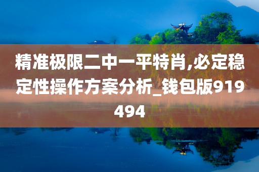 精准极限二中一平特肖,必定稳定性操作方案分析_钱包版919494