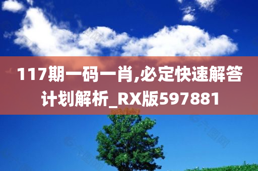 117期一码一肖,必定快速解答计划解析_RX版597881