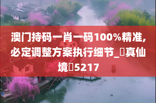 澳门持码一肖一码100%精准,必定调整方案执行细节_‌真仙境‌5217