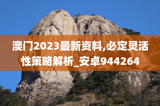 澳门2023最新资料,必定灵活性策略解析_安卓944264