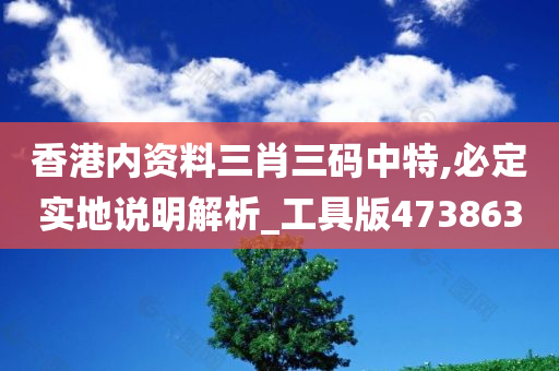 香港内资料三肖三码中特,必定实地说明解析_工具版473863