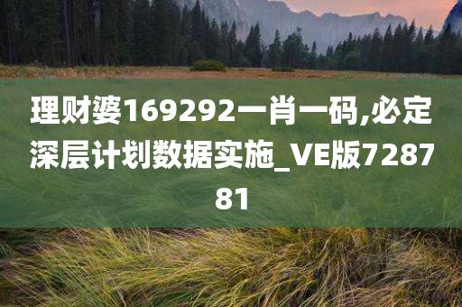 理财婆169292一肖一码,必定深层计划数据实施_VE版728781