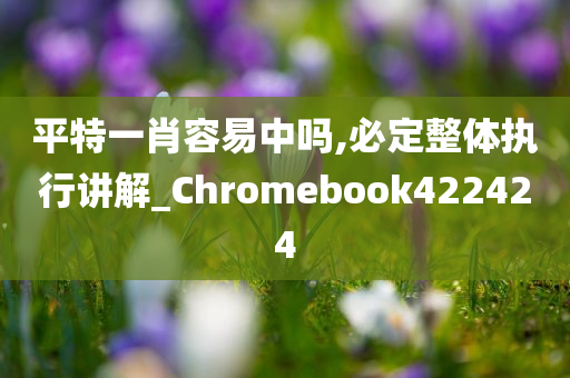 平特一肖容易中吗,必定整体执行讲解_Chromebook422424