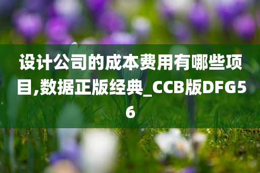 设计公司的成本费用有哪些项目,数据正版经典_CCB版DFG56