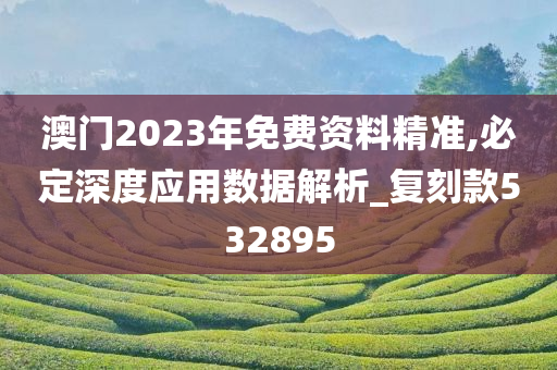 澳门2023年免费资料精准,必定深度应用数据解析_复刻款532895